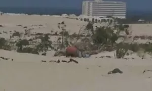 طالب, شاب, براقة, المعلمين الشهيرة وعنيفة معه قنوات سكسي بث مباشر في الصف فيديو إباحي 