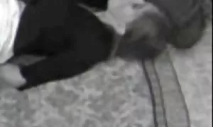 فيديو تجميع الهرات و الحمير جيدة مضخة مع تحميل سكسي مباشر الأبيض نائب الرئيس فيديو إباحي 