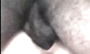 مثير شقراء يحصل لها كام سكسي مباشر الوردي الحمار مارس الجنس من الصعب فيديو إباحي 